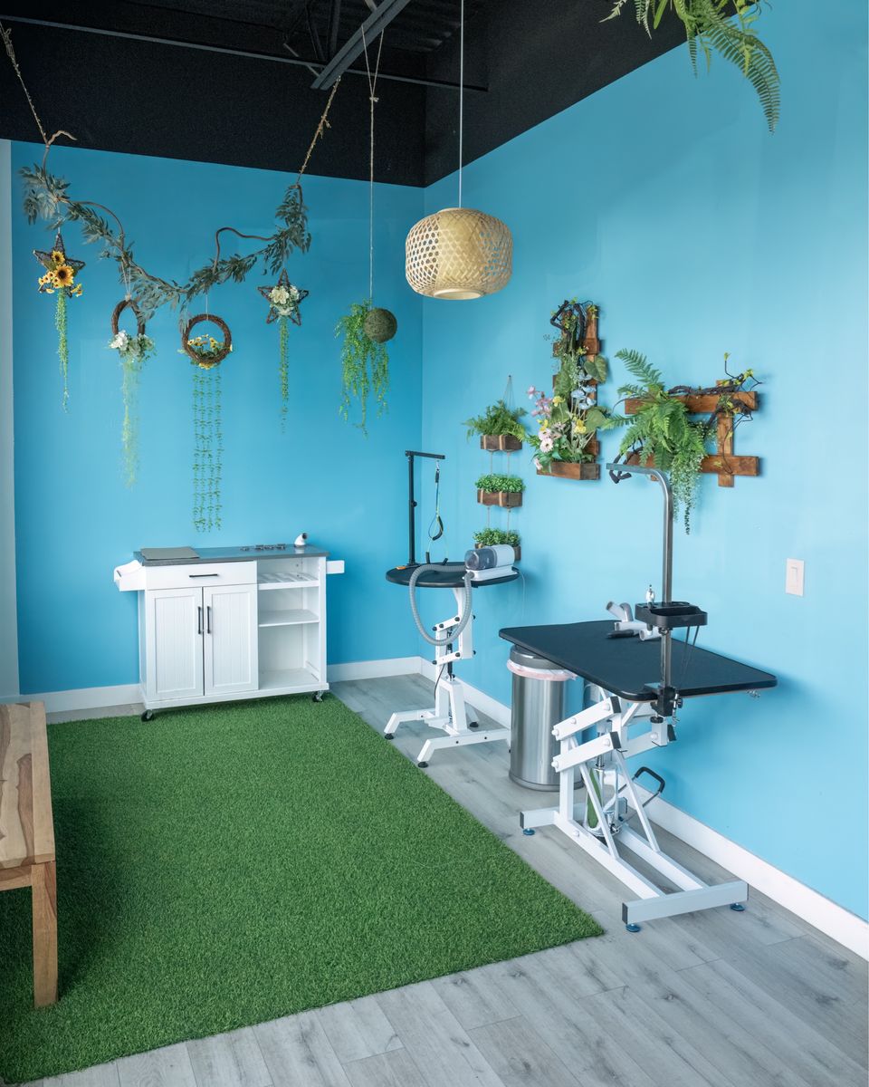 Groomer room available