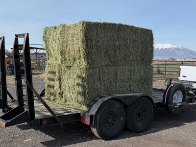 2005 Trail King 7x16 Equipment Toy Trailer – Heavy Duty