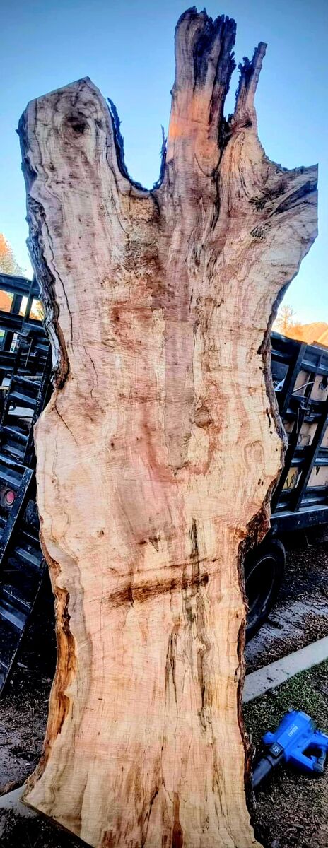 Highly figure Live edge Maple wood Slab