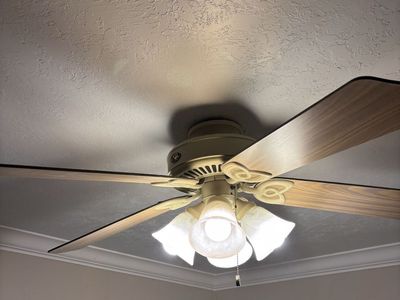Ceiling Fan 52” Hunter 4 light