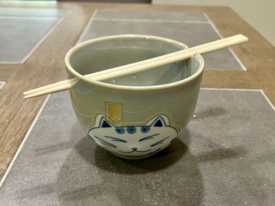 Lucky Cat Noodle Bowl