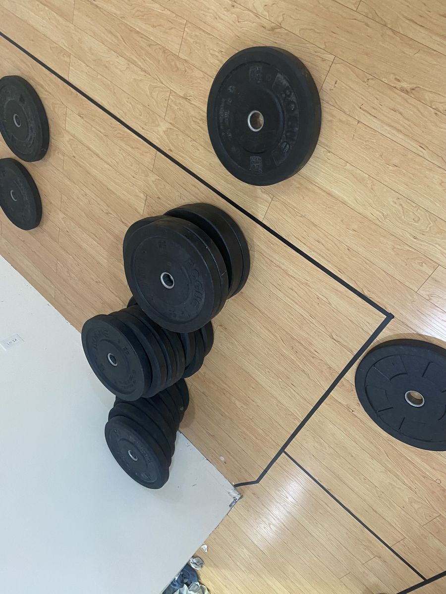 Rogue Fitness Black Rubber Bumper Weight Plates Hi Temp 600LBS Total
