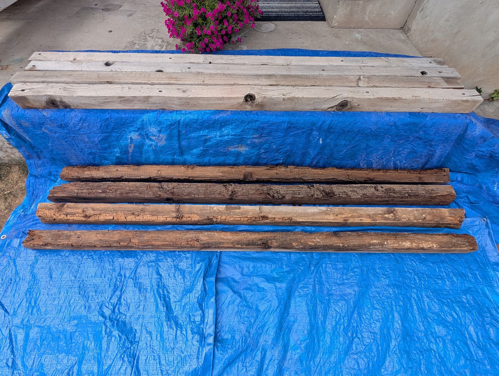 Eight 4x4 timbers–8 feet long + Heavy Duty Lag (good for sandbox wood or garden or edging)