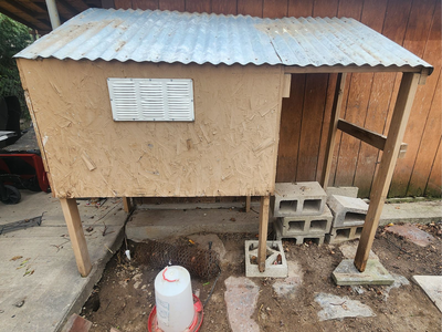 Deluxe Chicken Coop