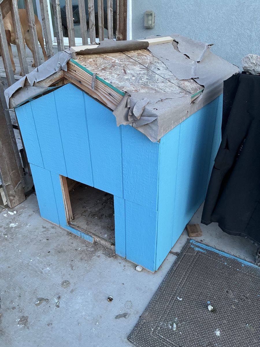 Large Dog House