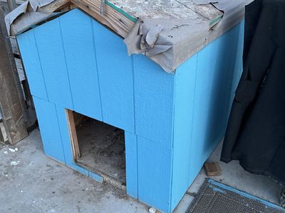 Large Dog House