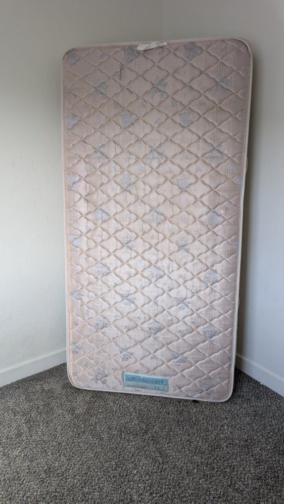 Twin Mattress - Shiny Pink