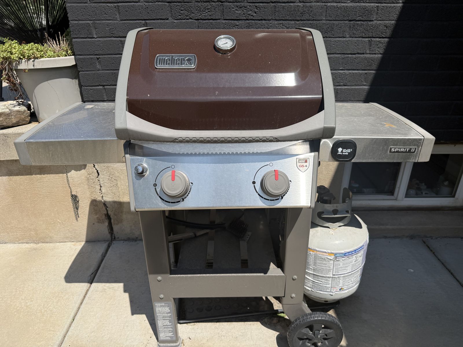 Free BBQ