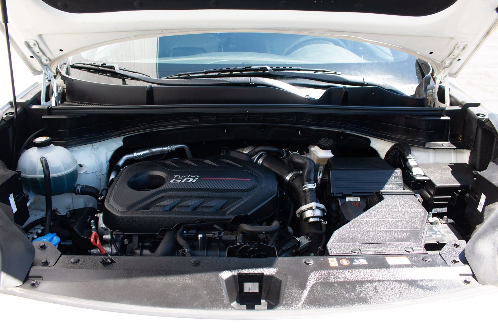 Main image 6