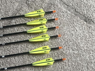 Easton Axis Long Range 340 4mm Arrow