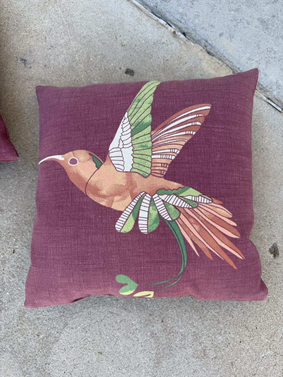 Outdoor hummingbird pillows 16 by 16 price for 2