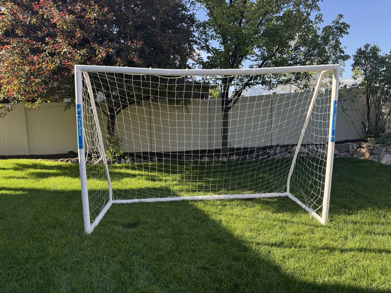 Large soccer goal