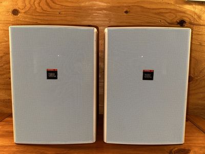 JBL Control 28 Indoor/Outdoor Speakers – Pair, Working Great
