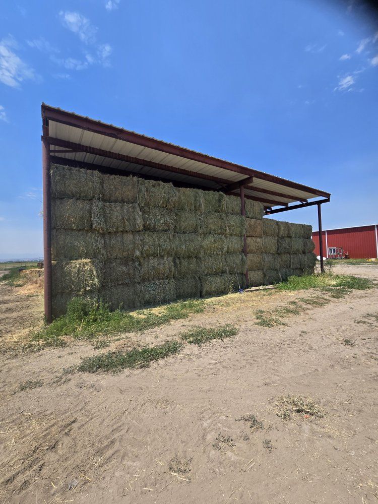 Irrigated Grass hay.