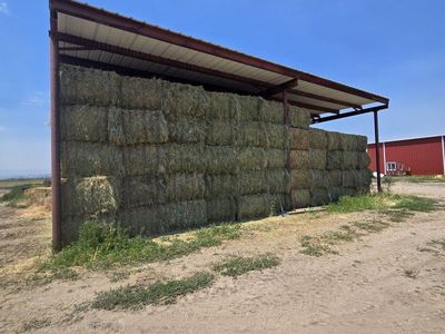 Irrigated Grass hay.