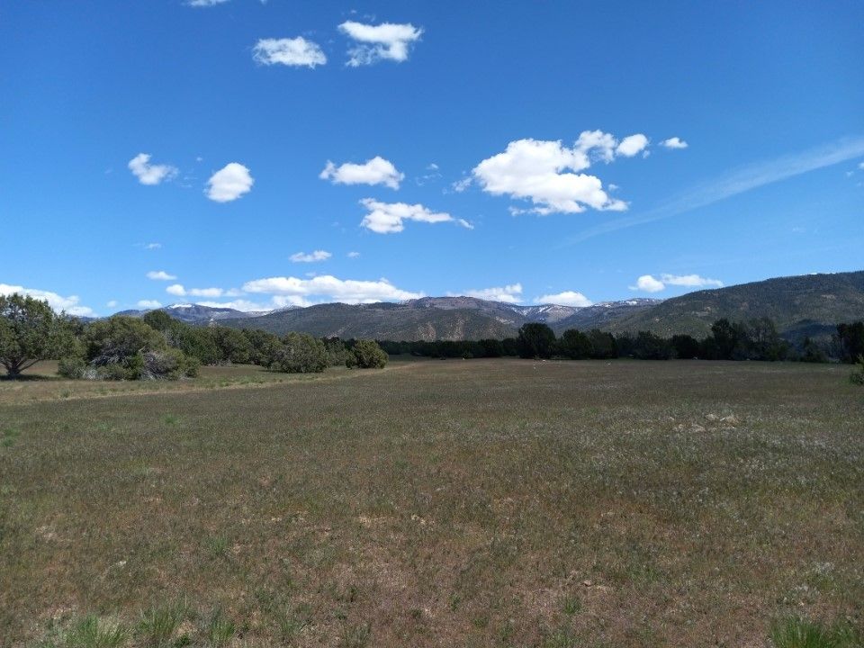 Main image 16