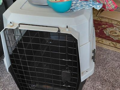 medium dog crate