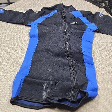 wetsuit.  shorty version