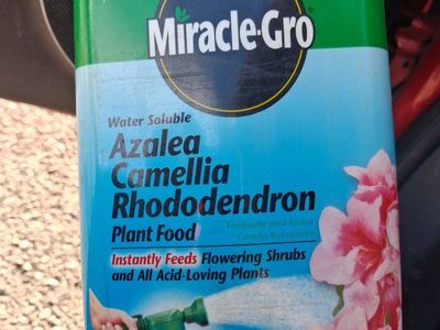 Miracle-Gro Water Soluble Azalea Camellia Rhododendron Plant Food 5 pounds never used