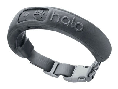HALO 2+ GPS Dog Collar