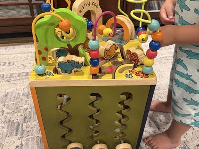 Zany zoo wooden activity cube