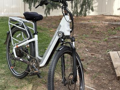 2022 step thru rad city bike