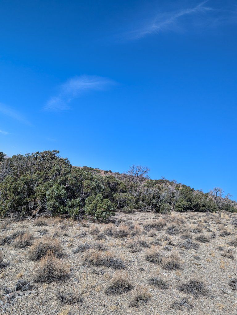 Main image 10