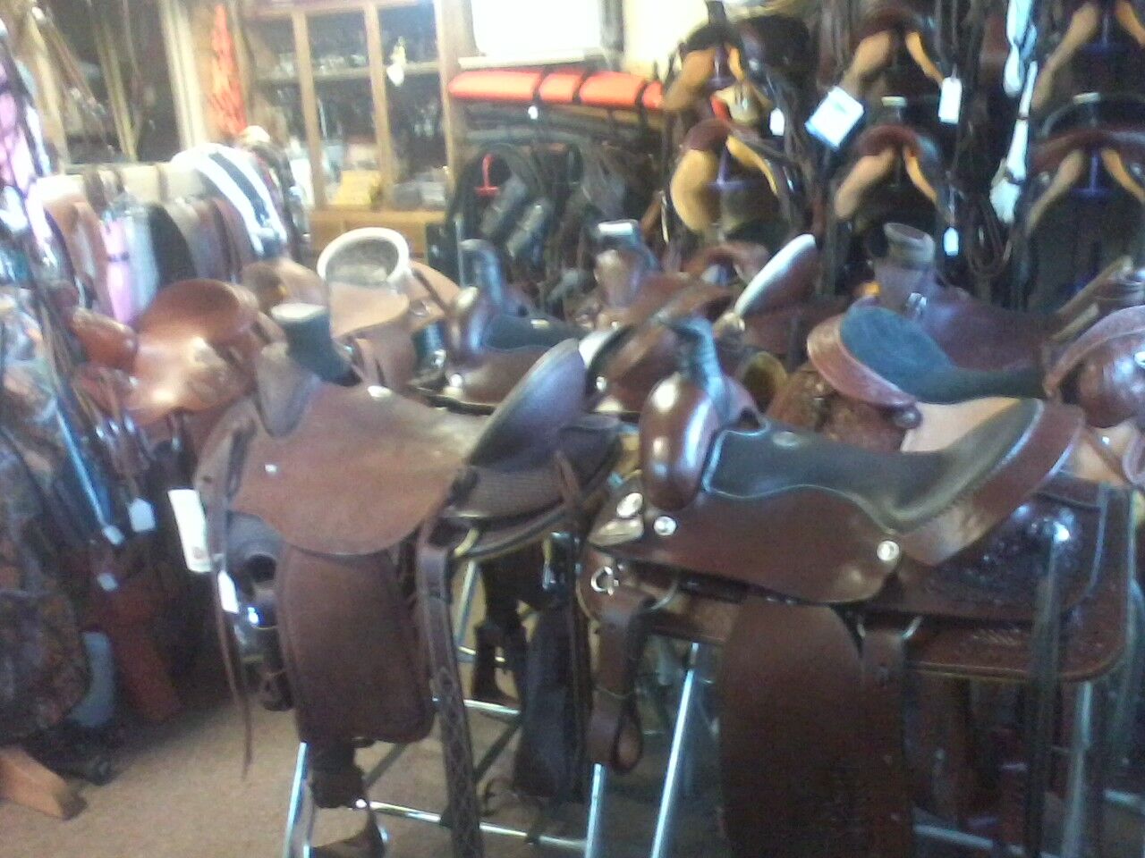 New Saddles & full Saddle Repair Glen can make it ride like new aging