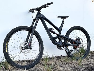 2019 YT Capra CF Pro