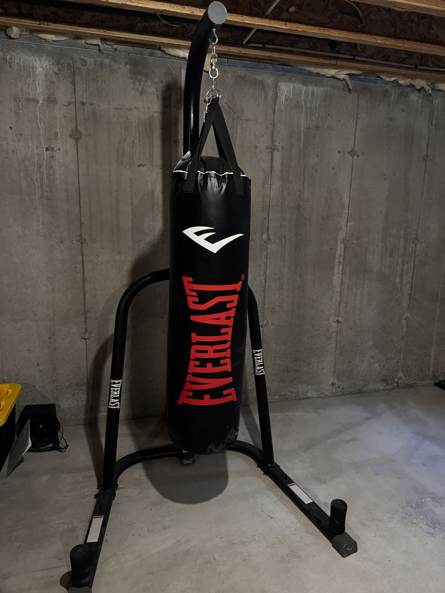 Everlast Heavy Punching Bag and FREE Boxing Gloves