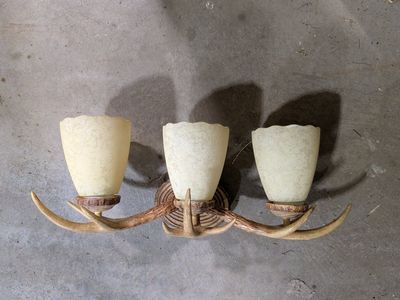 3 light, day antler vanity light