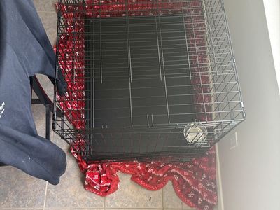 EverYay 1 Door XL Dog Kennel