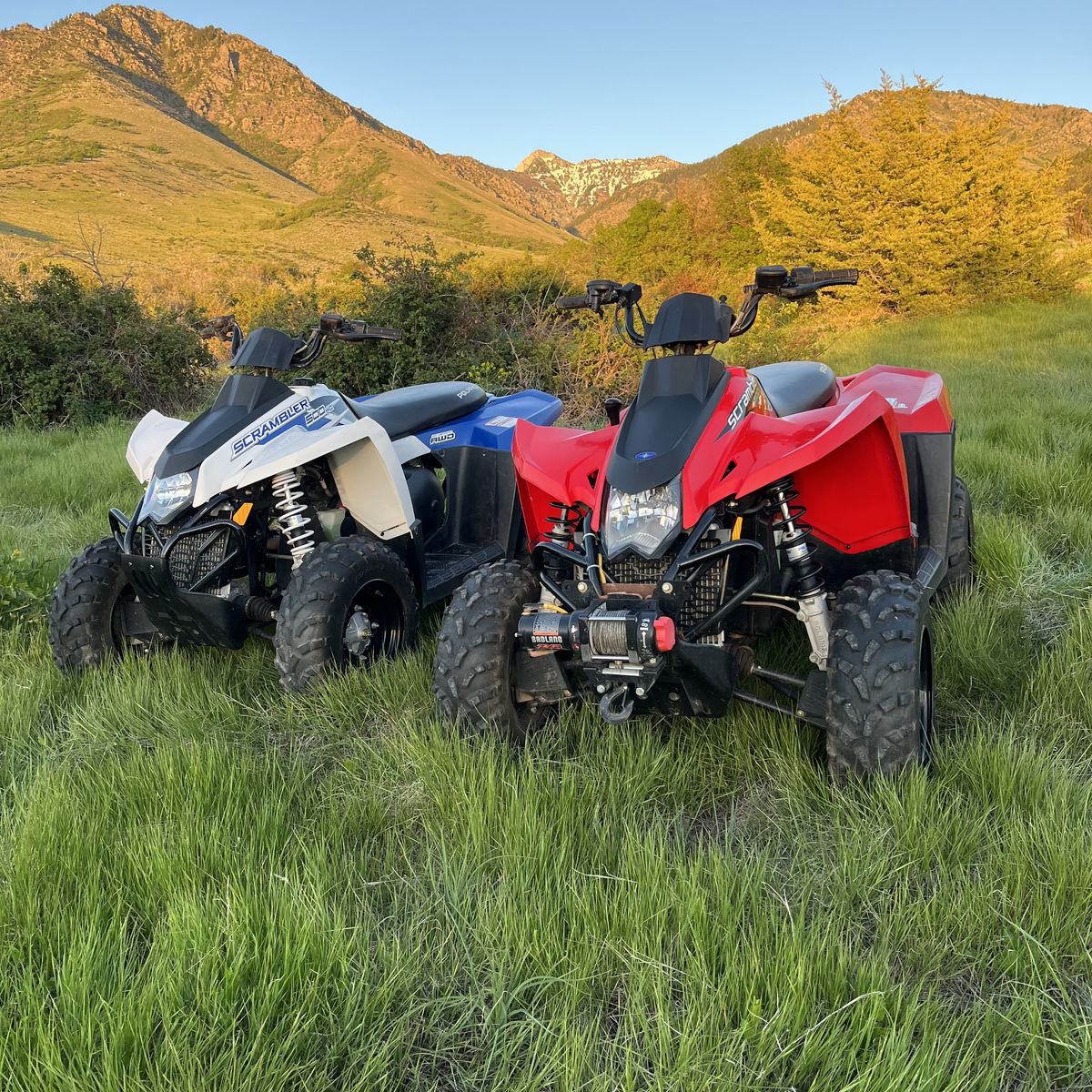 Polaris Scrambler 500 HO