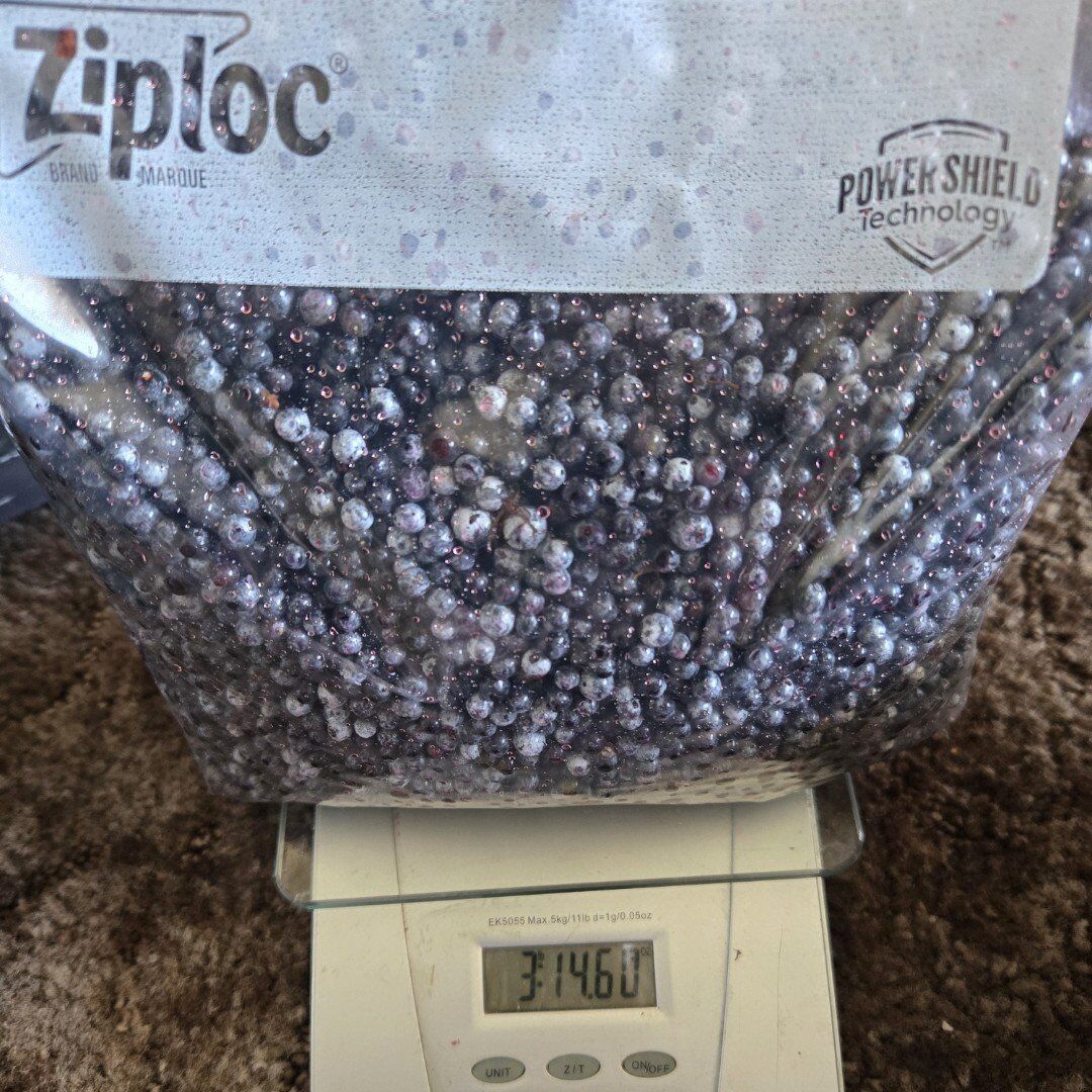 Frozen elderberries available by the gallon bag