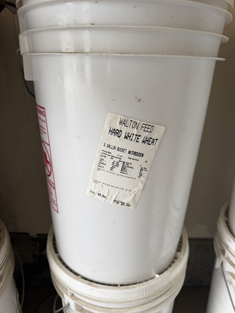 6 Gallon Buckets of Red Wheat