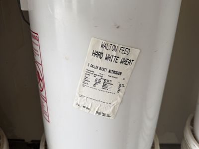 6 Gallon Buckets of Red Wheat