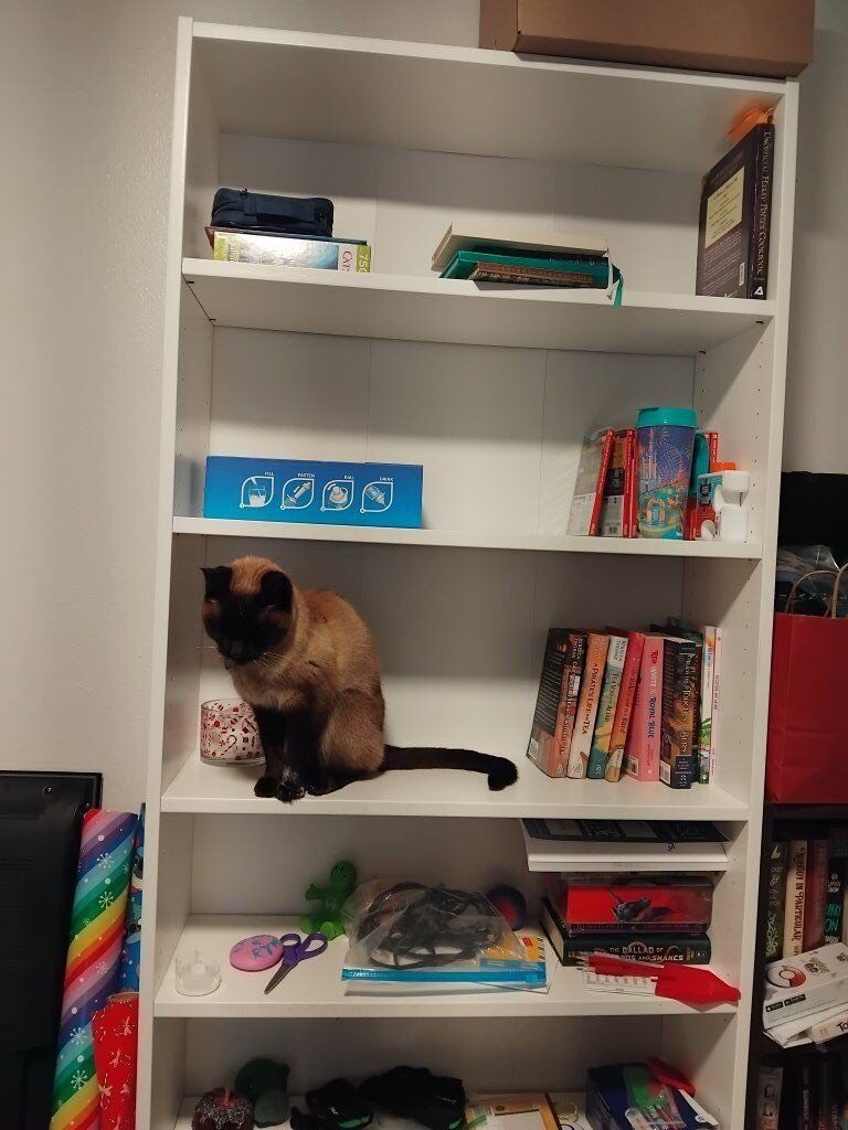 IKEA Billy Bookcase