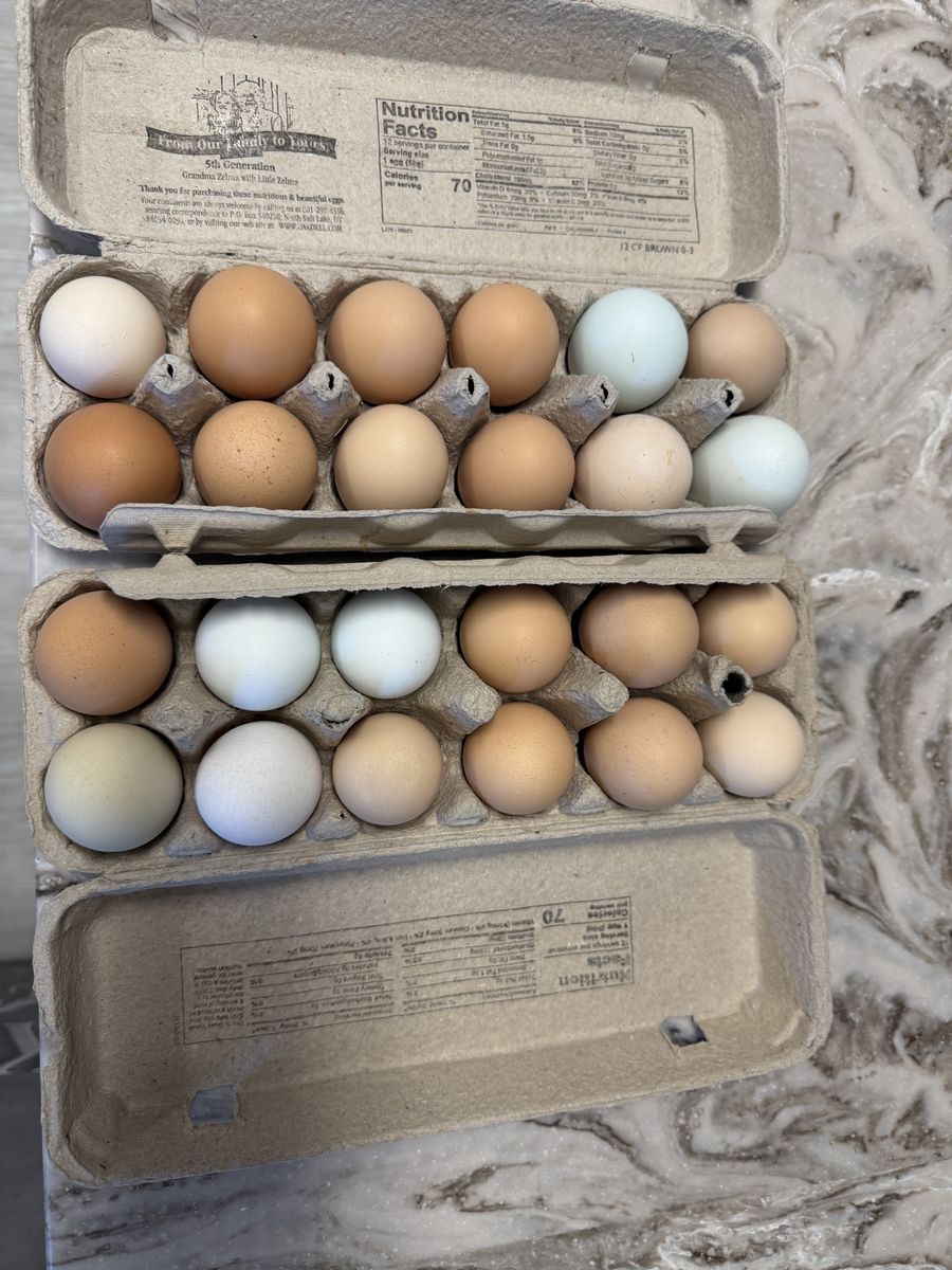 Hatching or Eating Eggs