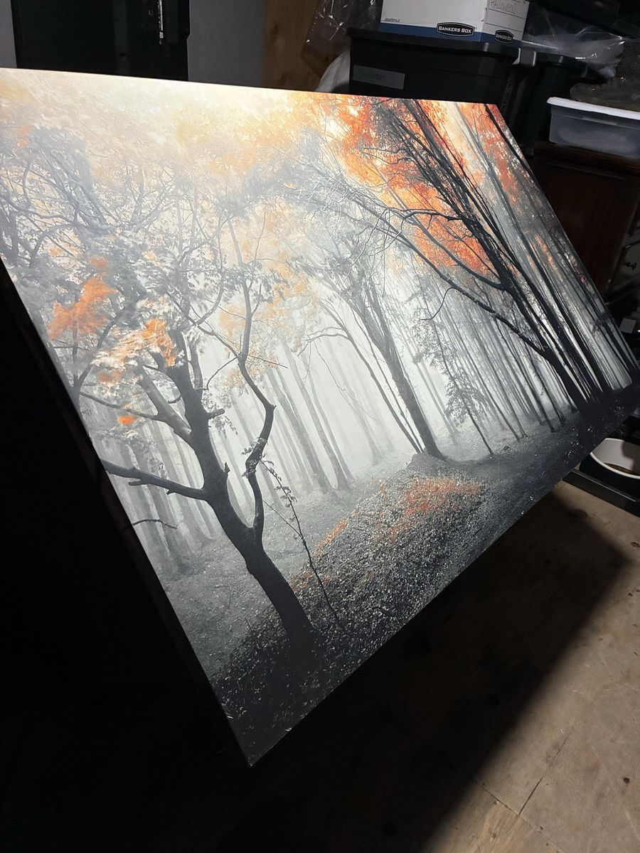 3 ft x 5 ft canvas painting