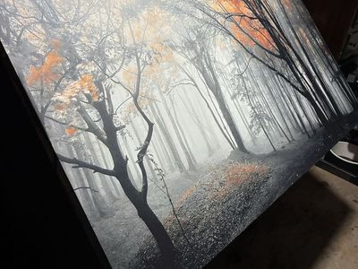 3 ft x 5 ft canvas painting