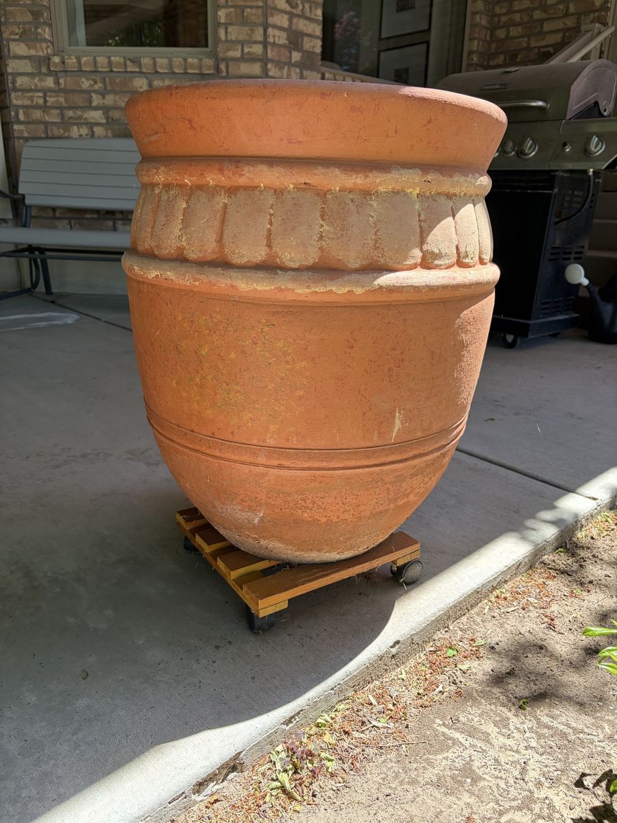 Main image 5