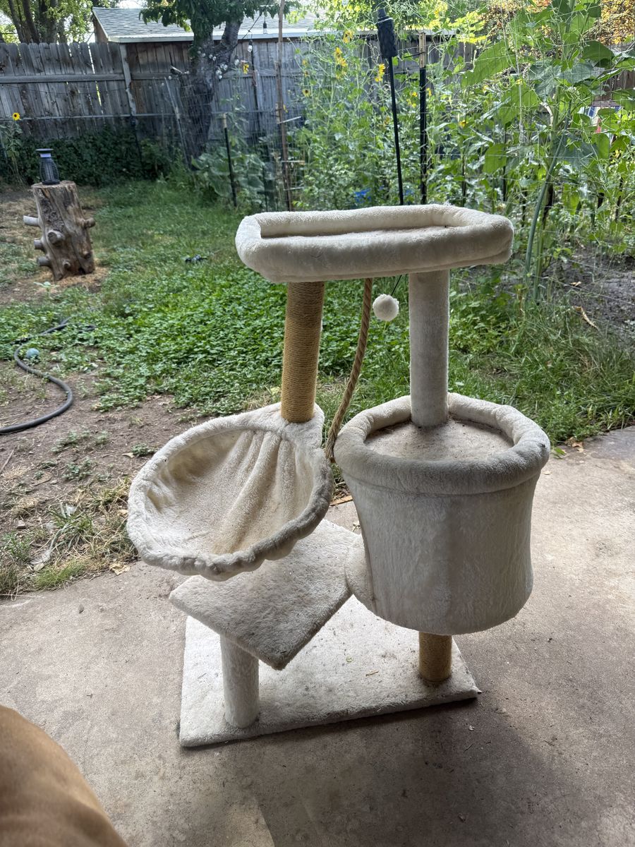 Used Multi-Level Cat Tree with Condo, Perch & Scratching Post - Beige