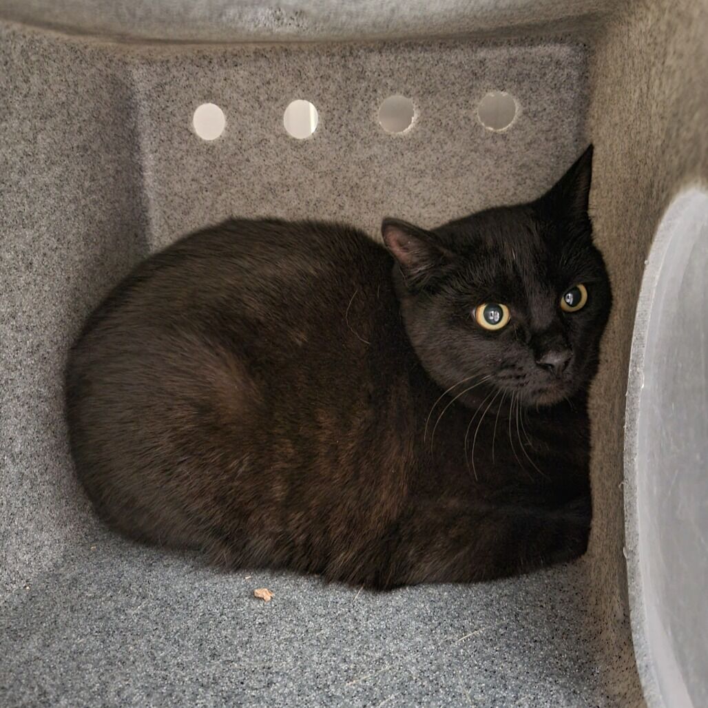 Hello my name is Zeke