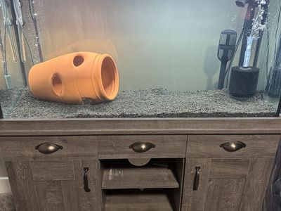 75 Gallon Full Set Up