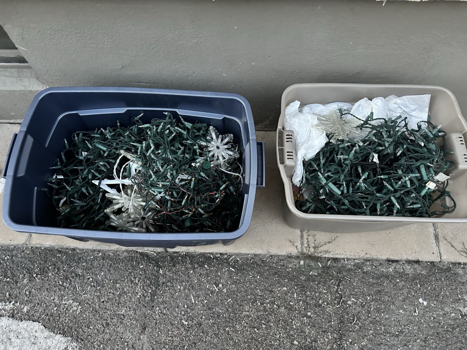 Working Holiday/ Christmas lights