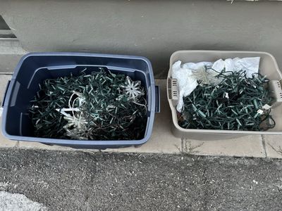Working Holiday/ Christmas lights