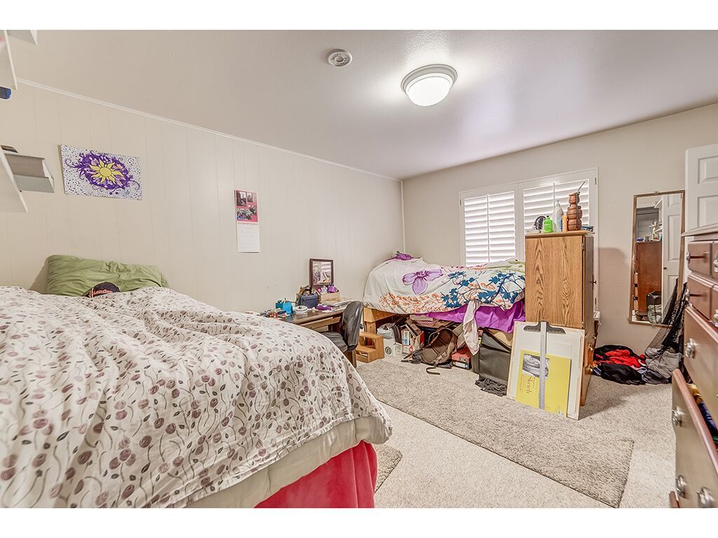 Main image 4
