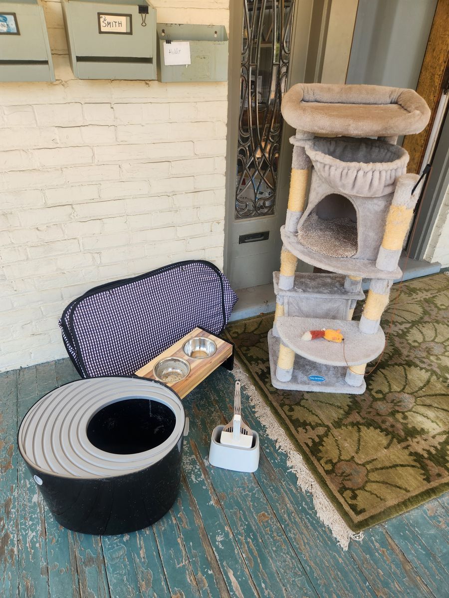 Full Cat Setup