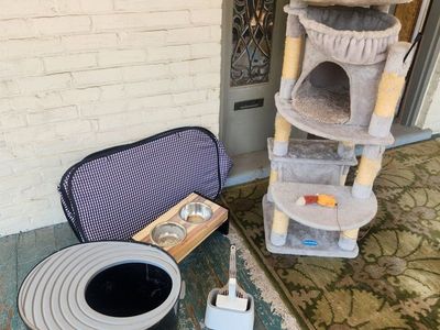 Full Cat Setup