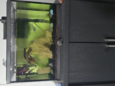 5gal tank w/10 gal stand &accessories